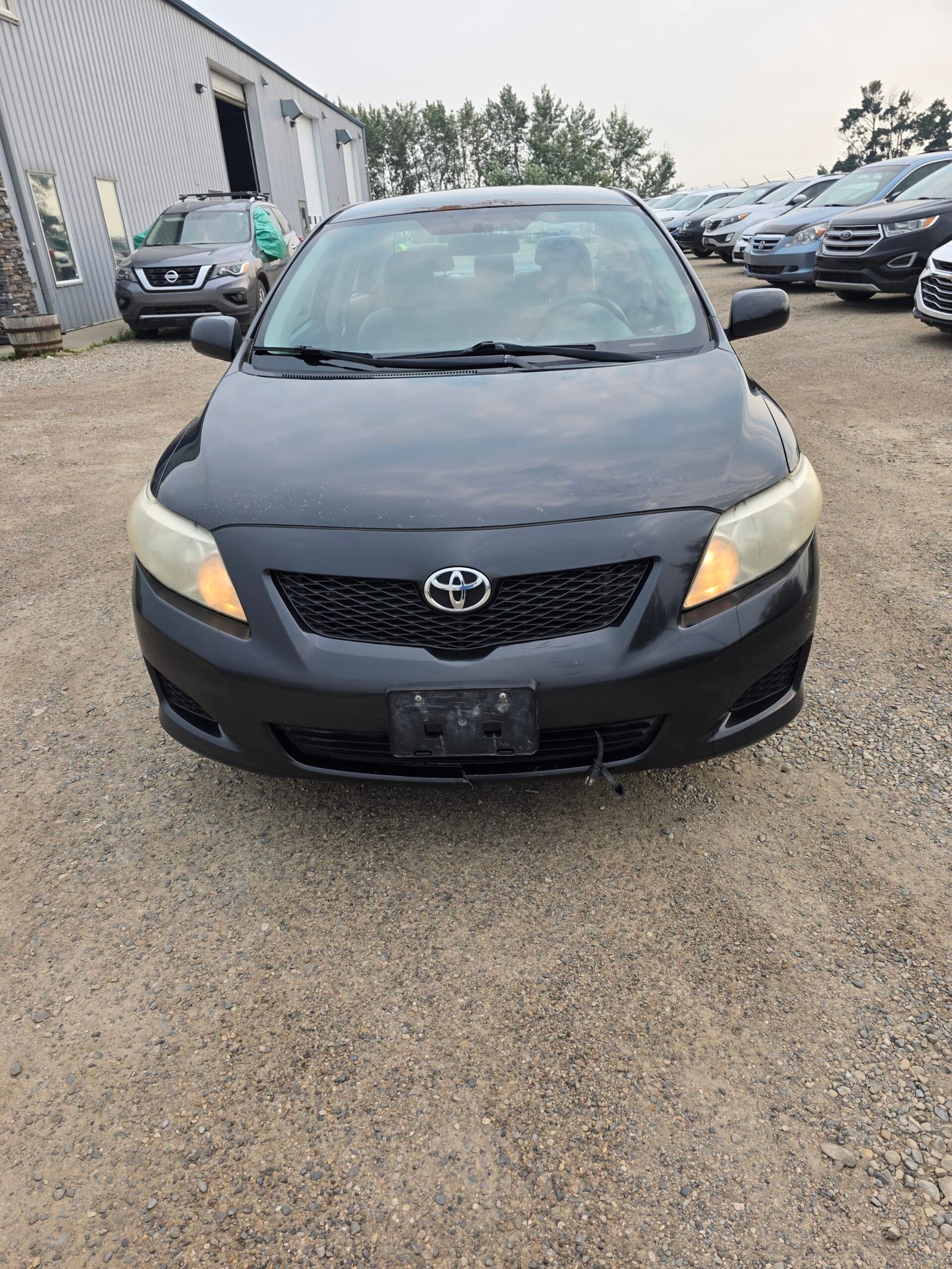 2009 TOYOTA COROLLA
