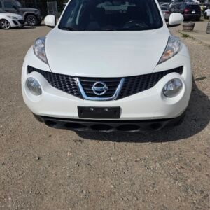 2014 NISSAN JUKE