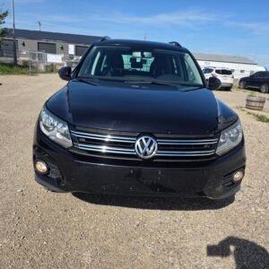 2014 VOLKSWAGEN TIGUAN