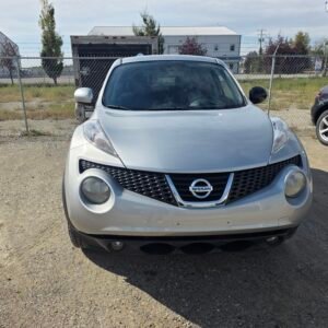 2011 NISSAN JUKE